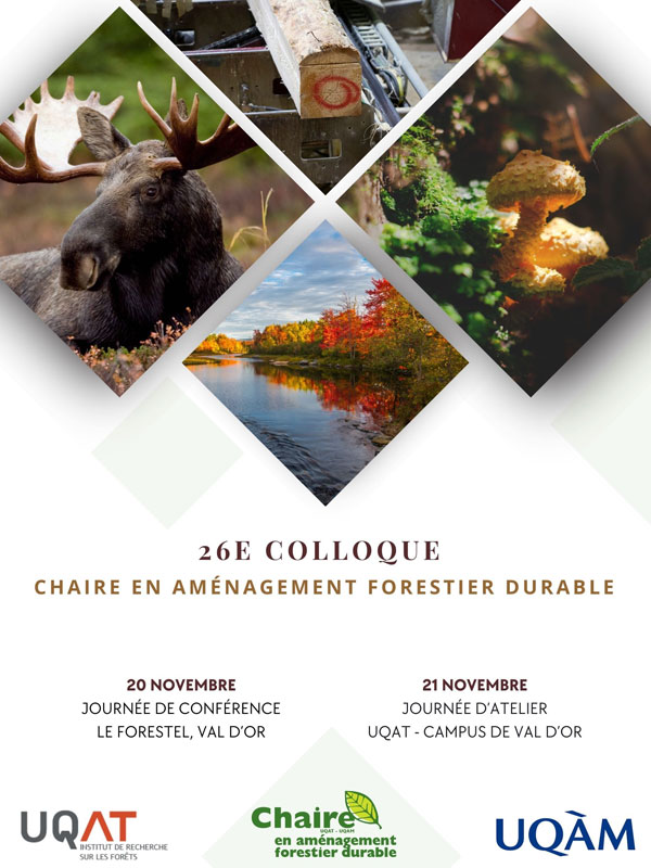 affiche colloque